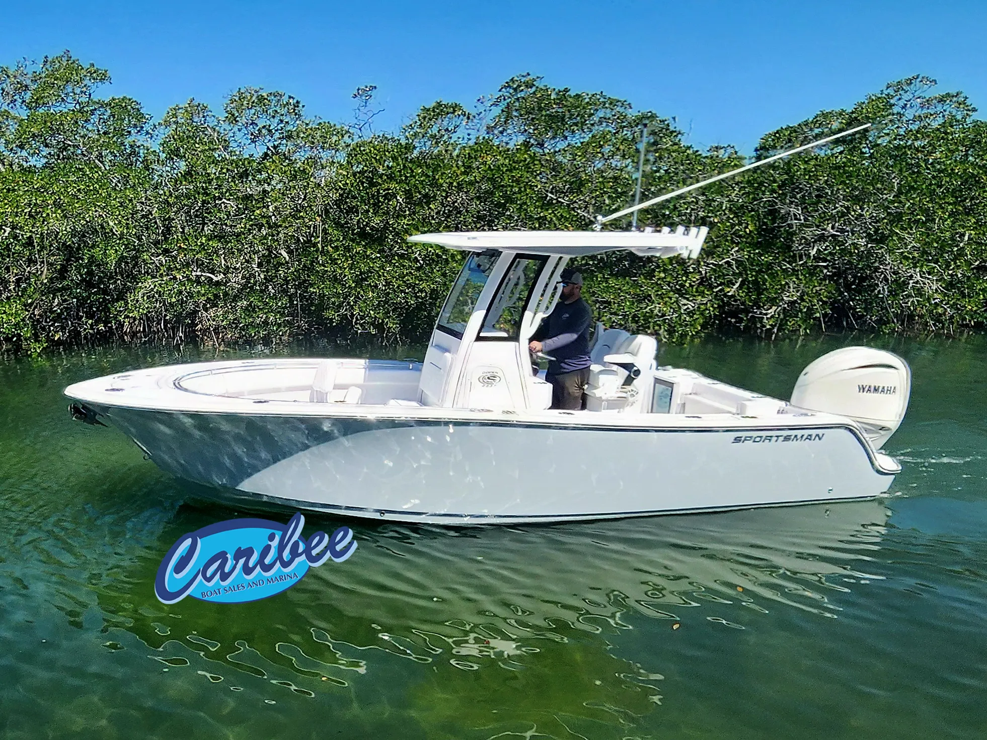 Slide 1