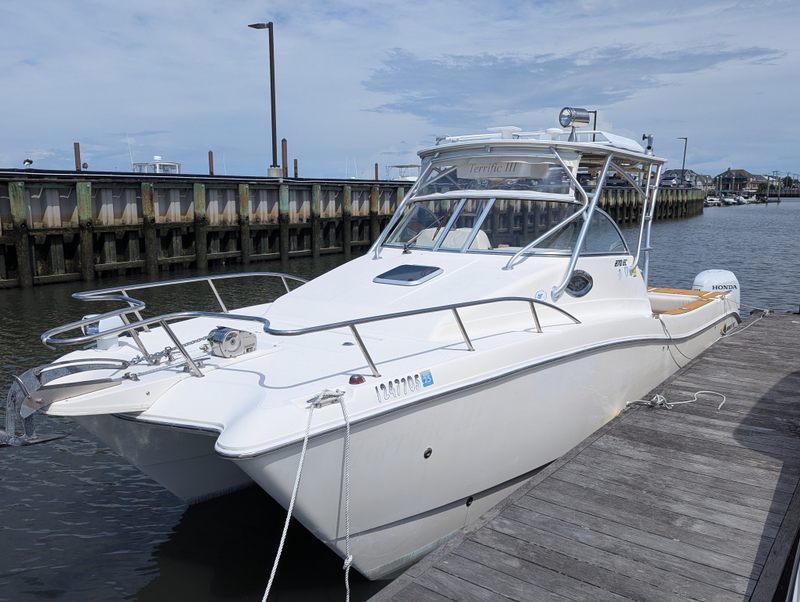 2005 World Cat 270 EC